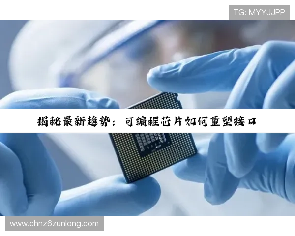 尊龙z6.com地址平台安全可靠，保障用户在访问过程中的信息安全与隐私保护