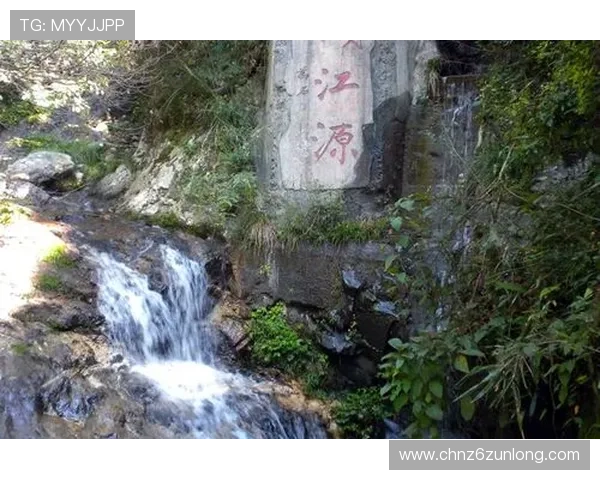 D8娱乐登录入口最新官方地址，安全稳定的登录方式推荐