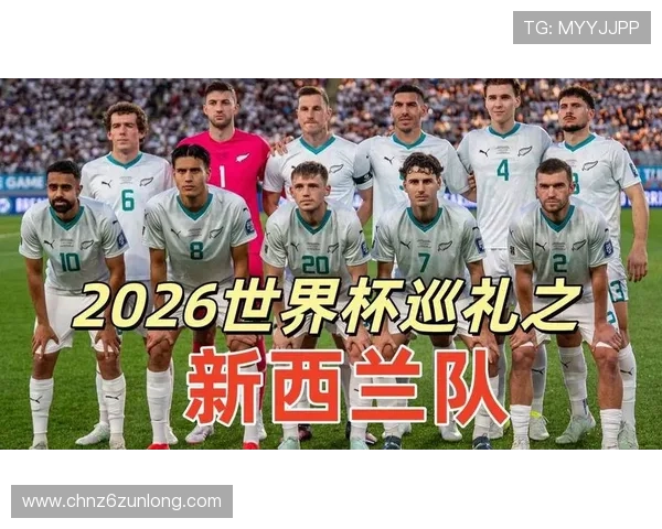 世界杯新西兰埃及比赛直播地址汇总，提供高清流畅观看体验方案
