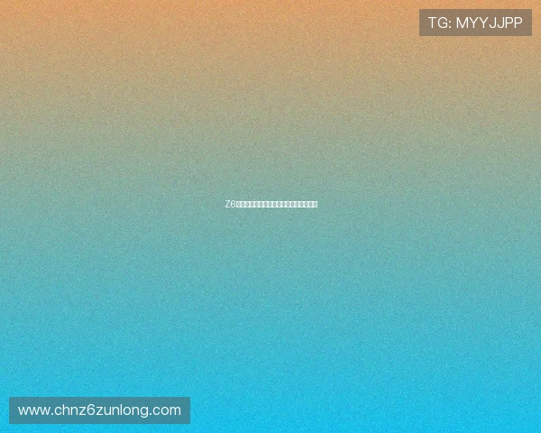 Z6平台的用户体验设计与界面交互优化策略